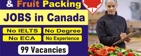 apknoon jobs in canada|food packaging job, free visa ticket jobs .